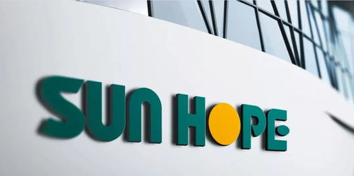 12.2億美元 強(qiáng)磁場 大閔行又簽下6個外資大項目